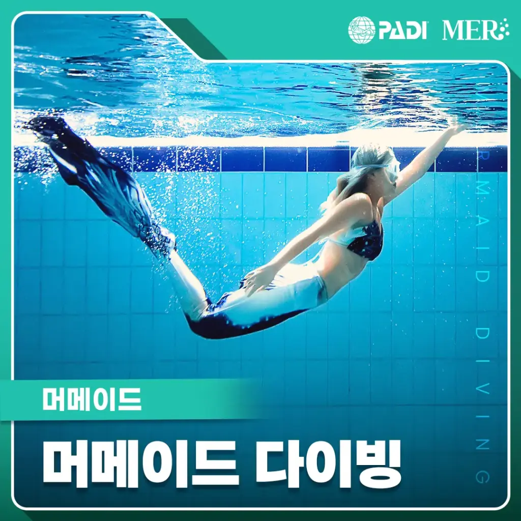 머메이드 다이빙 머메이드