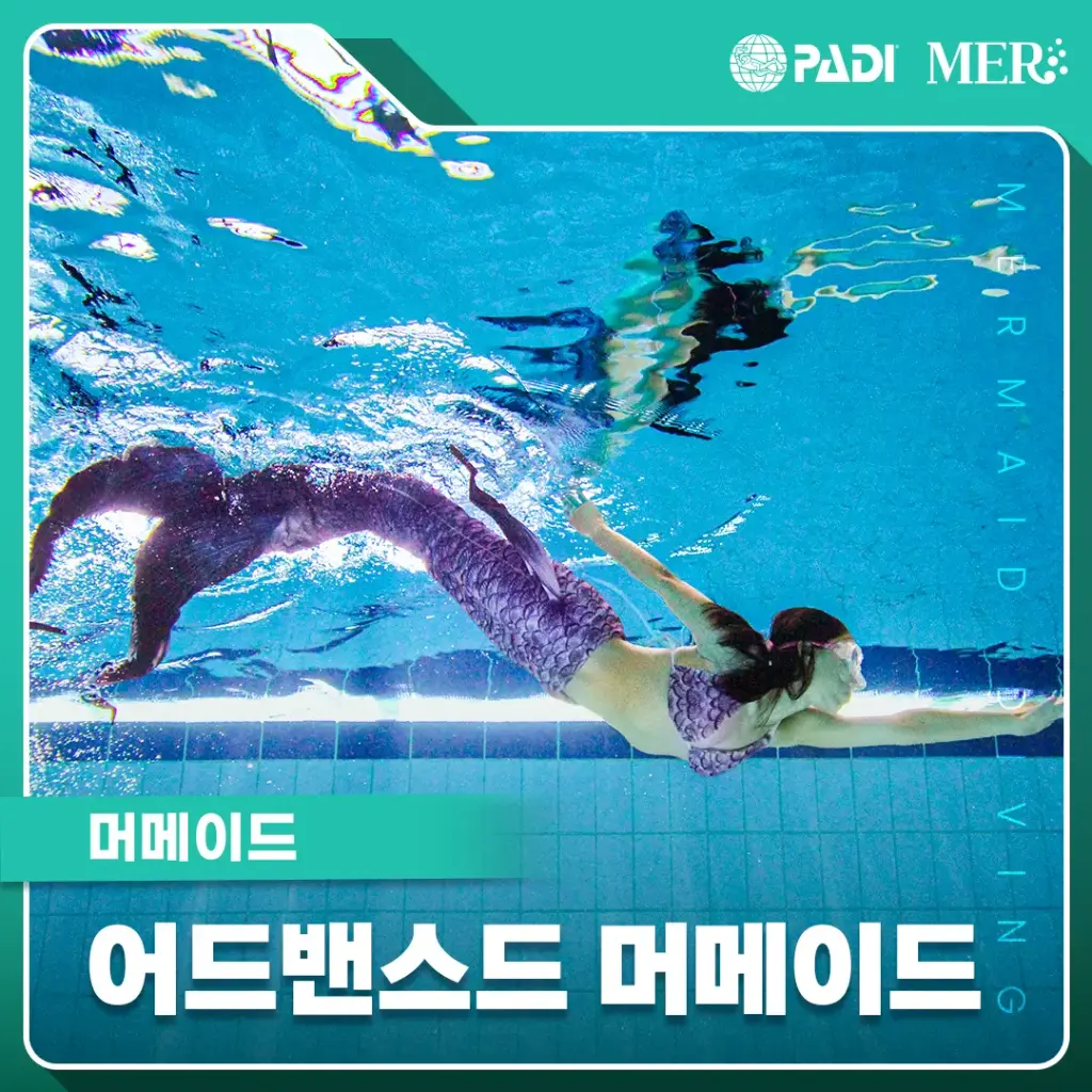 머메이드 다이빙 어드밴스드 머메이드