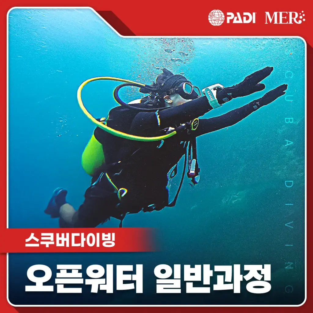 오픈워터 일반과정