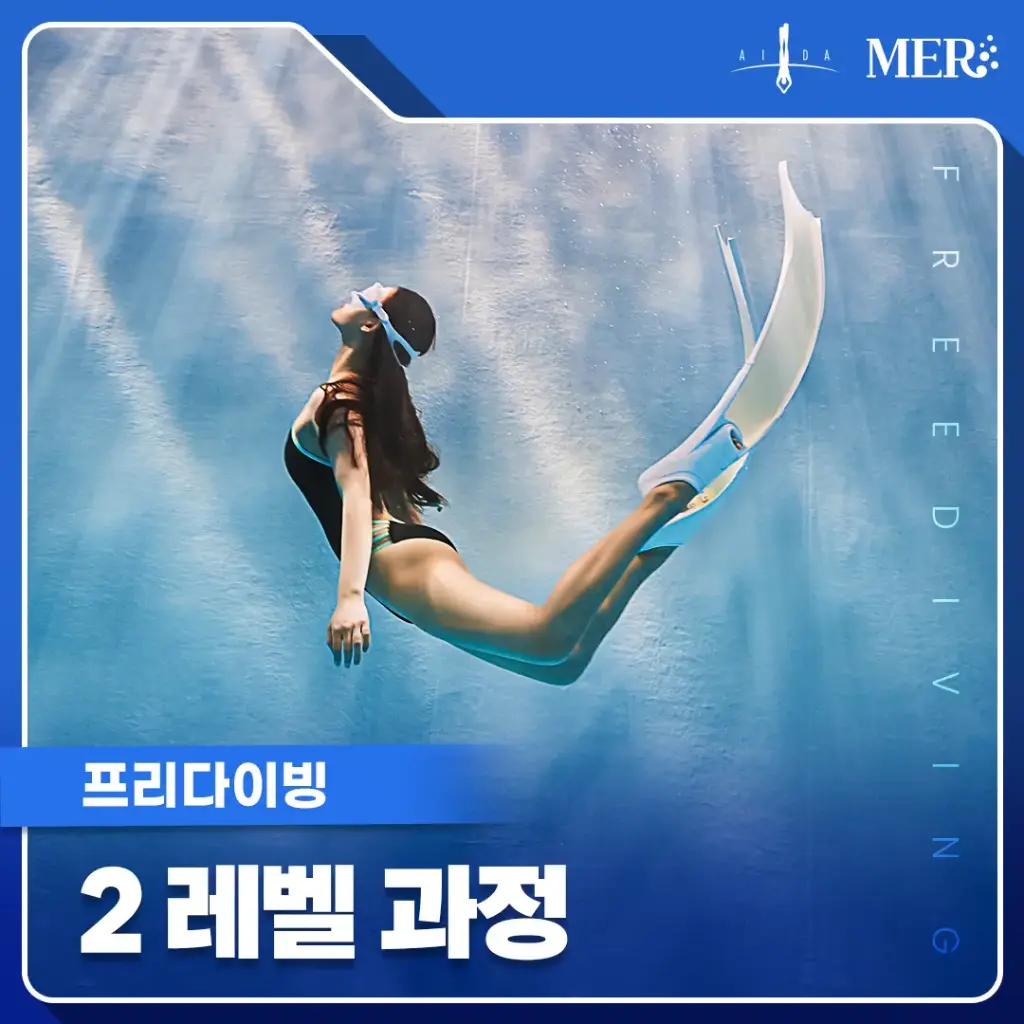 2레벨