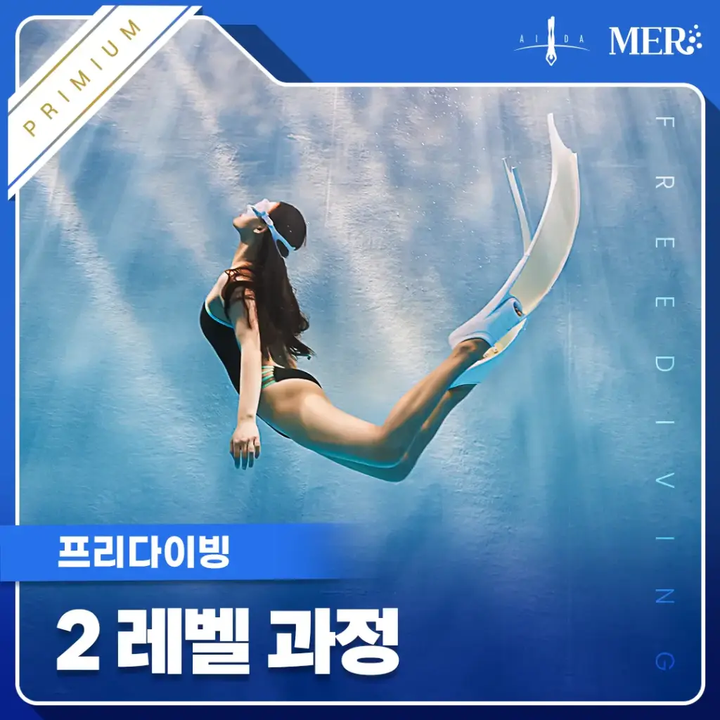 2레벨 무제한 교육