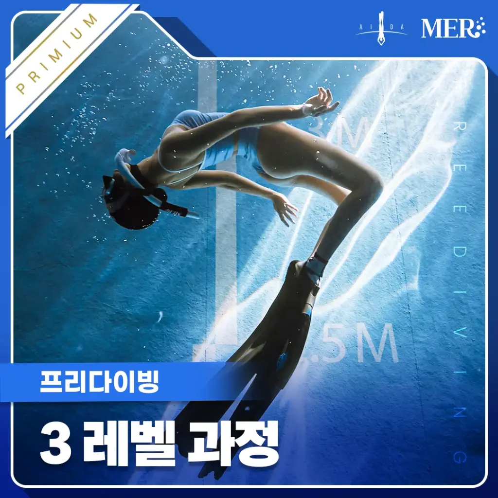 3레벨 무제한 교육