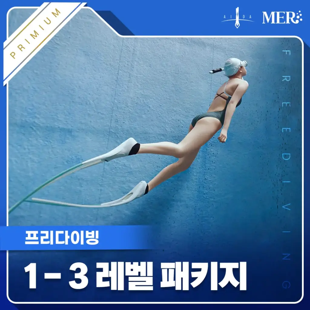 1-3레벨 무제한 교육 전환