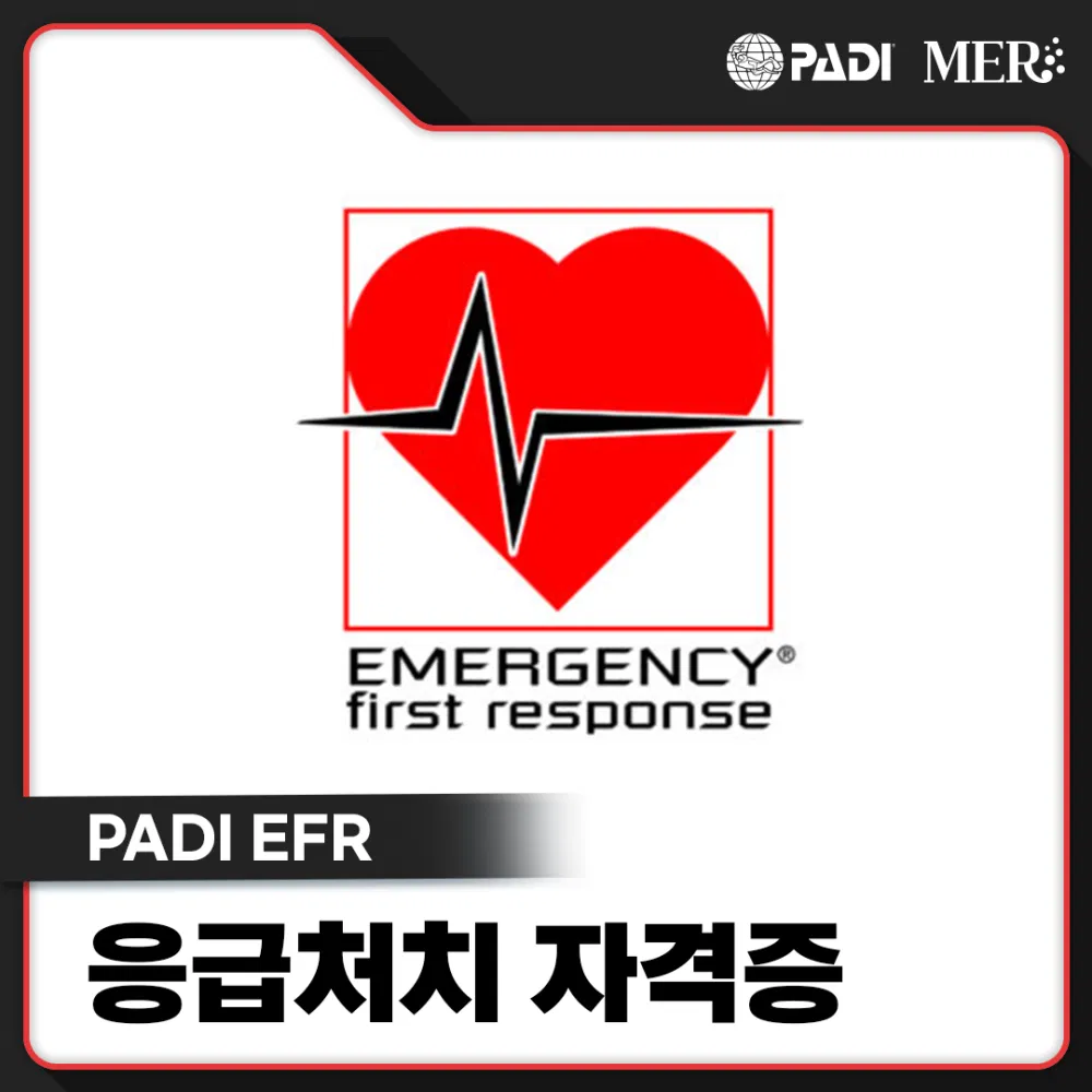 EFR수강권