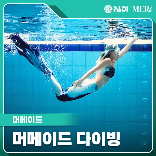 머메이드 다이빙 머메이드