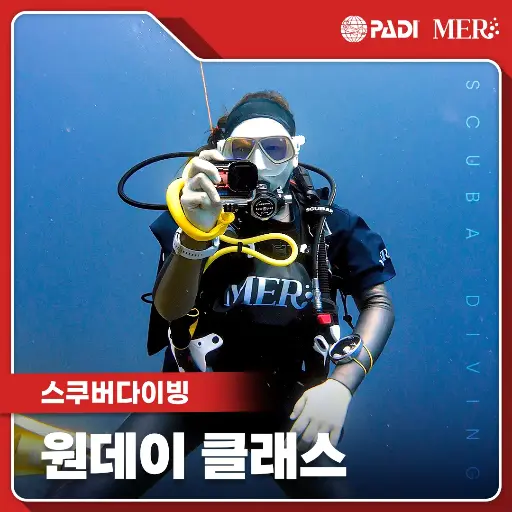 스쿠버 DSD 체험 다이빙