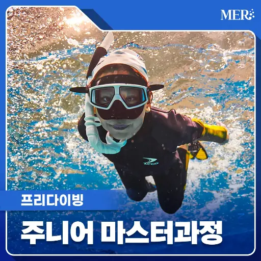 주니어 마스터과정