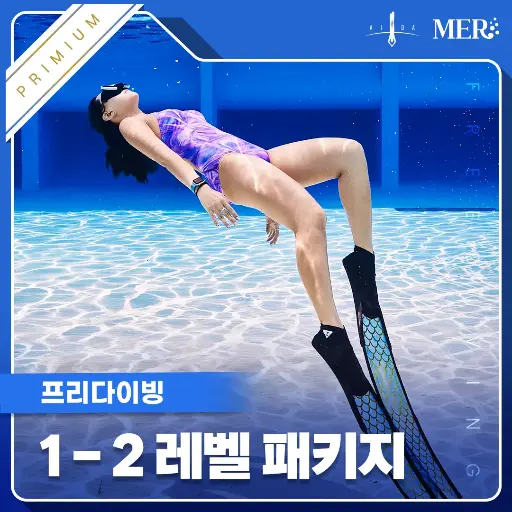 1-2레벨 무제한 교육