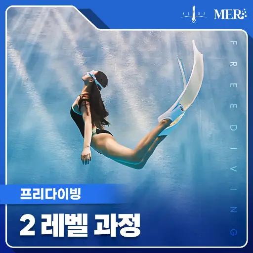 2레벨