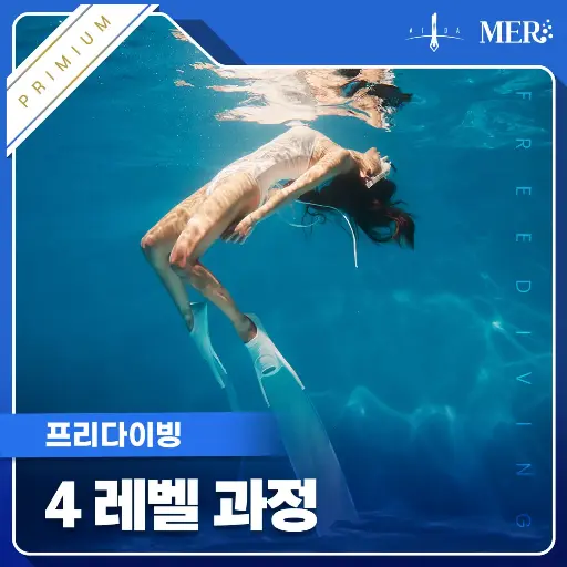 4레벨 무제한 패키지