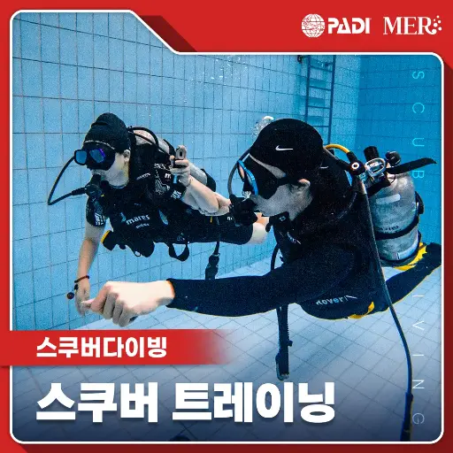 스쿠버 트레이닝 (평일) 1회