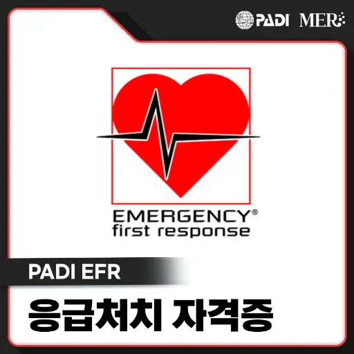 EFR수강권