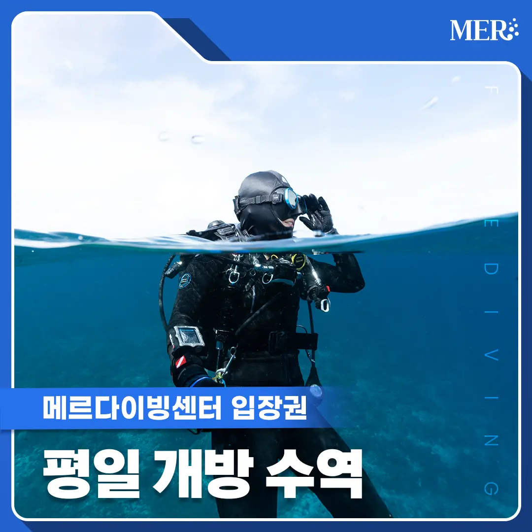평일 개방 수역 입장권