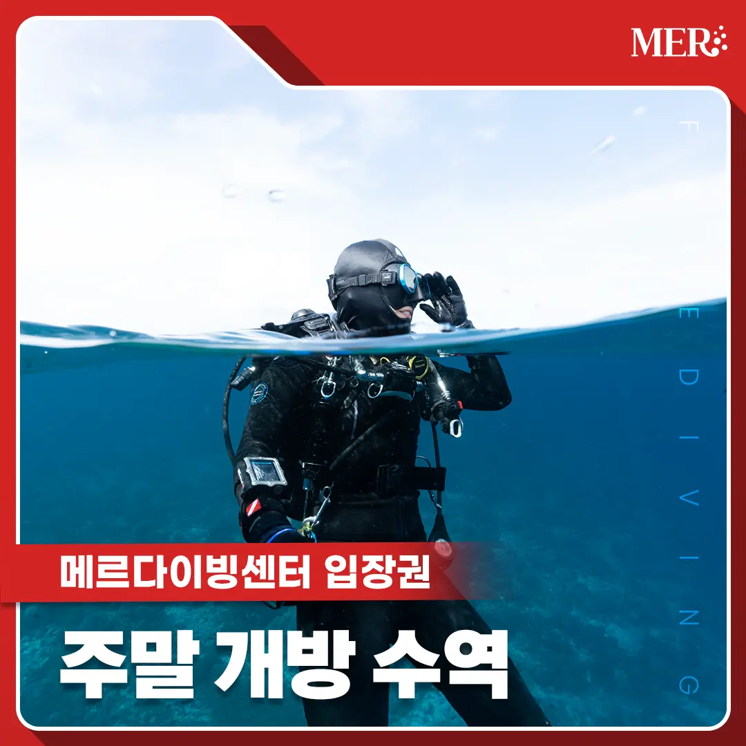주말 개방 수역 입장권