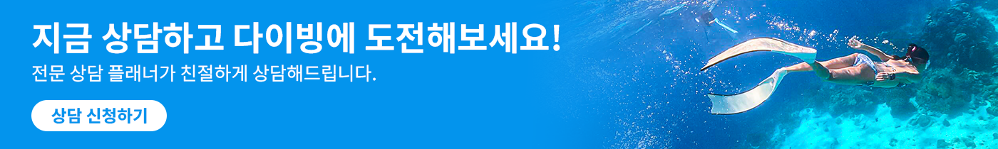 지금 상담하고 다이빙에 도전해보세요!