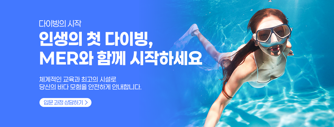 인생의 첫 다이빙, MER와 함께 시작하세요